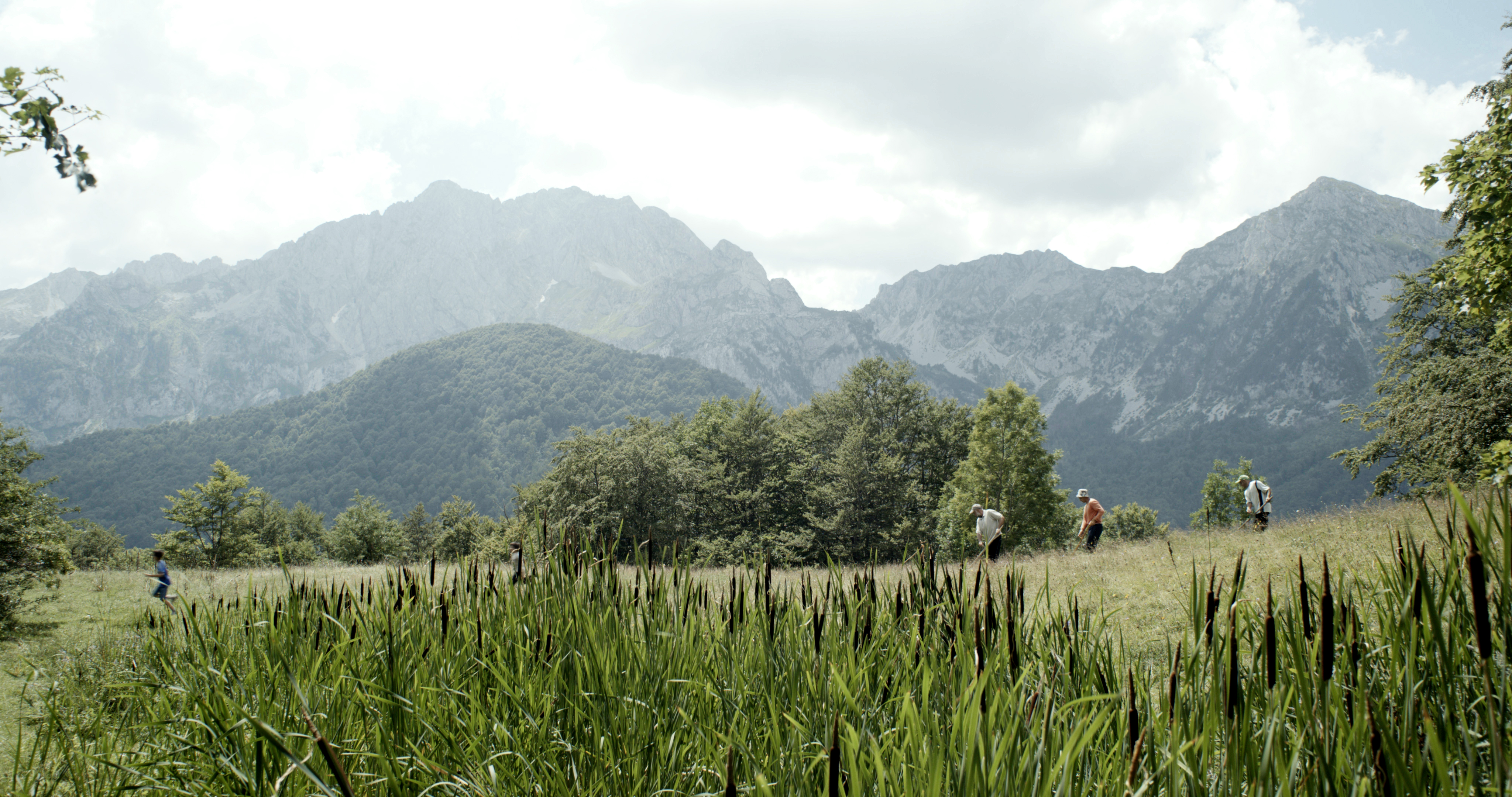 Title: Summer mowing; Year: 2018; Place: Sinjajevina (Montenegro); Author & Copyright: Wake Up Films Image