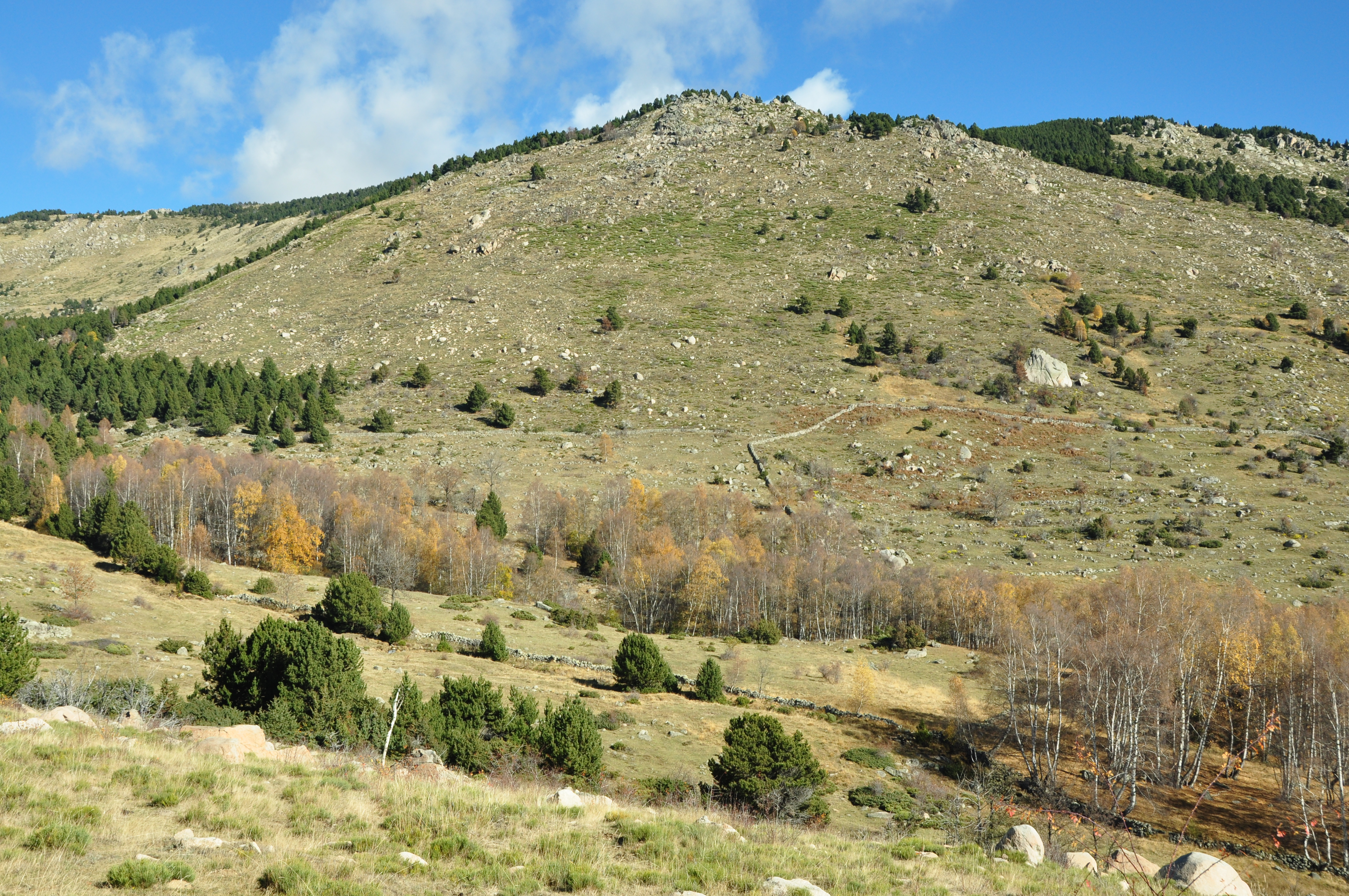 Title: Frequently burned Enveitg area; Year: 2015; Place: Enveitg, France; Author & Copyright: Jean-Paul Métailié Image