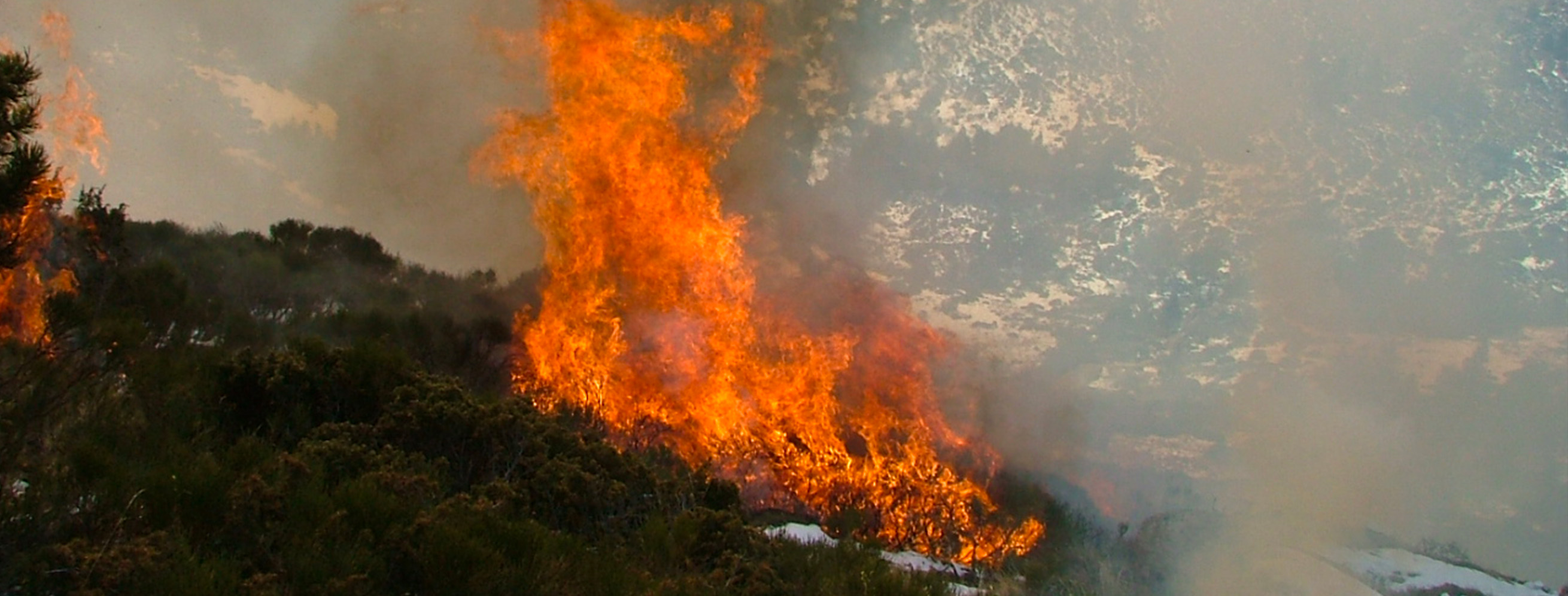 Title: Prescribed burning with natural firebreak (snow); Year: 1994; Place: Enveitg, France; Author & Copyright: Bernard Lambert Image