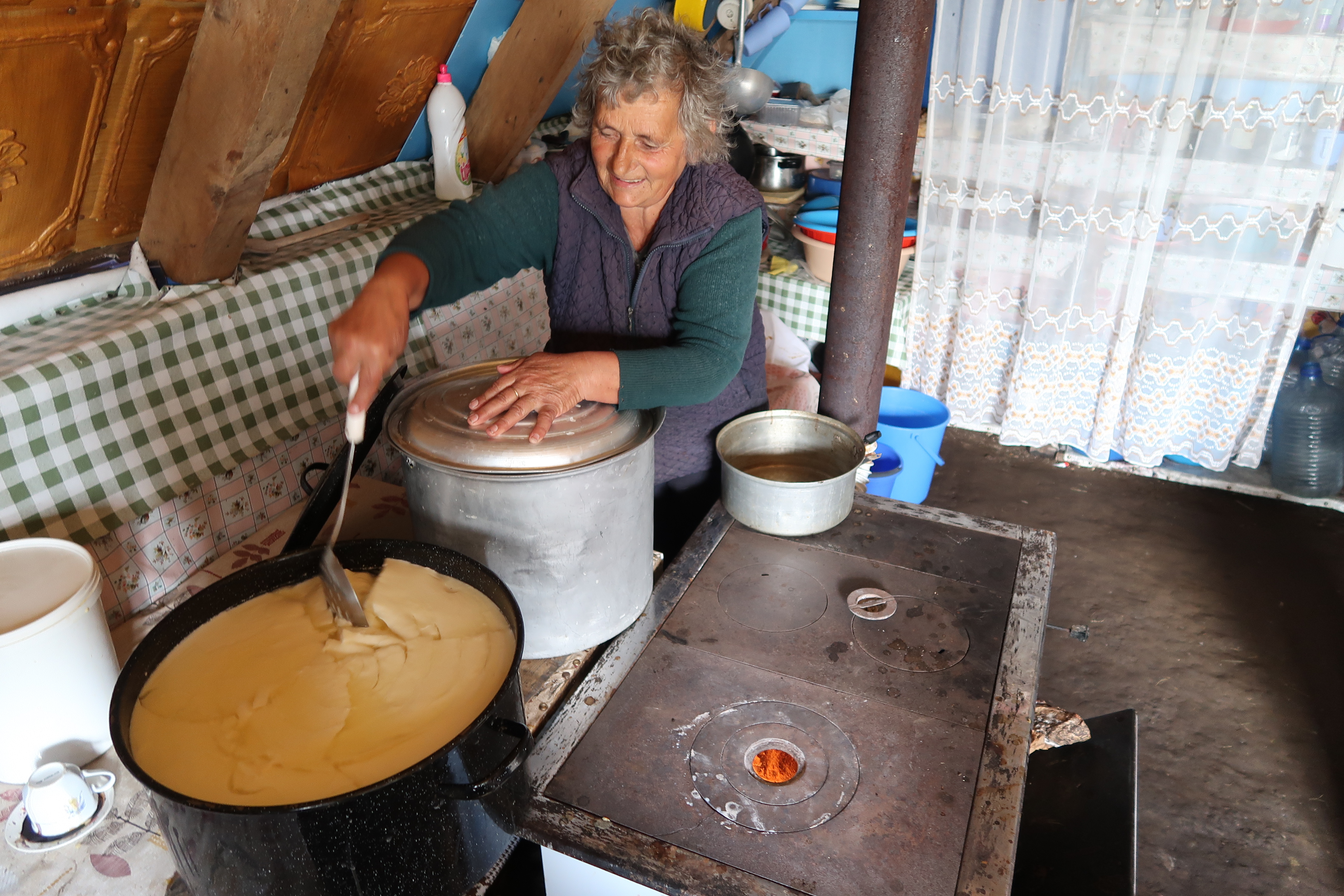 Title: Milk procession at katun; Year: 2019; Place: Sinjajevina (Montenegro); Author & Copyright: Aleksandra Kapetanović Image