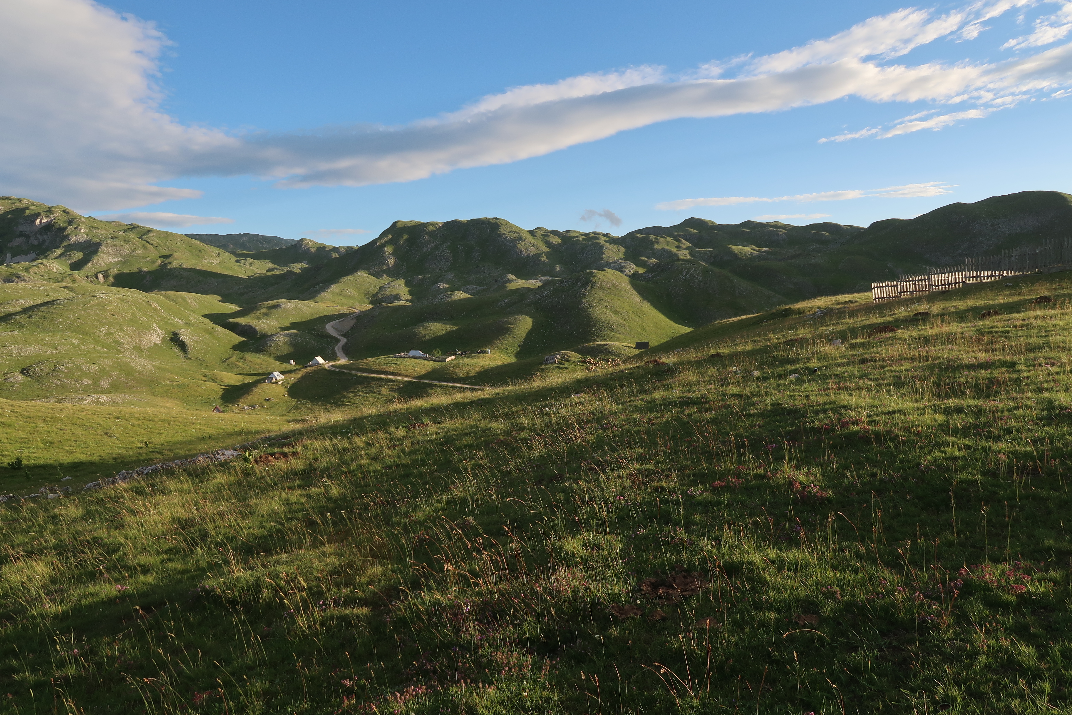 Title: A late afternoon in the highlands; Year: 2022; Place: Martinićki katun, Sinjajevina (Montenegro); Author & Copyright: Aleksandra Kapetanović Image