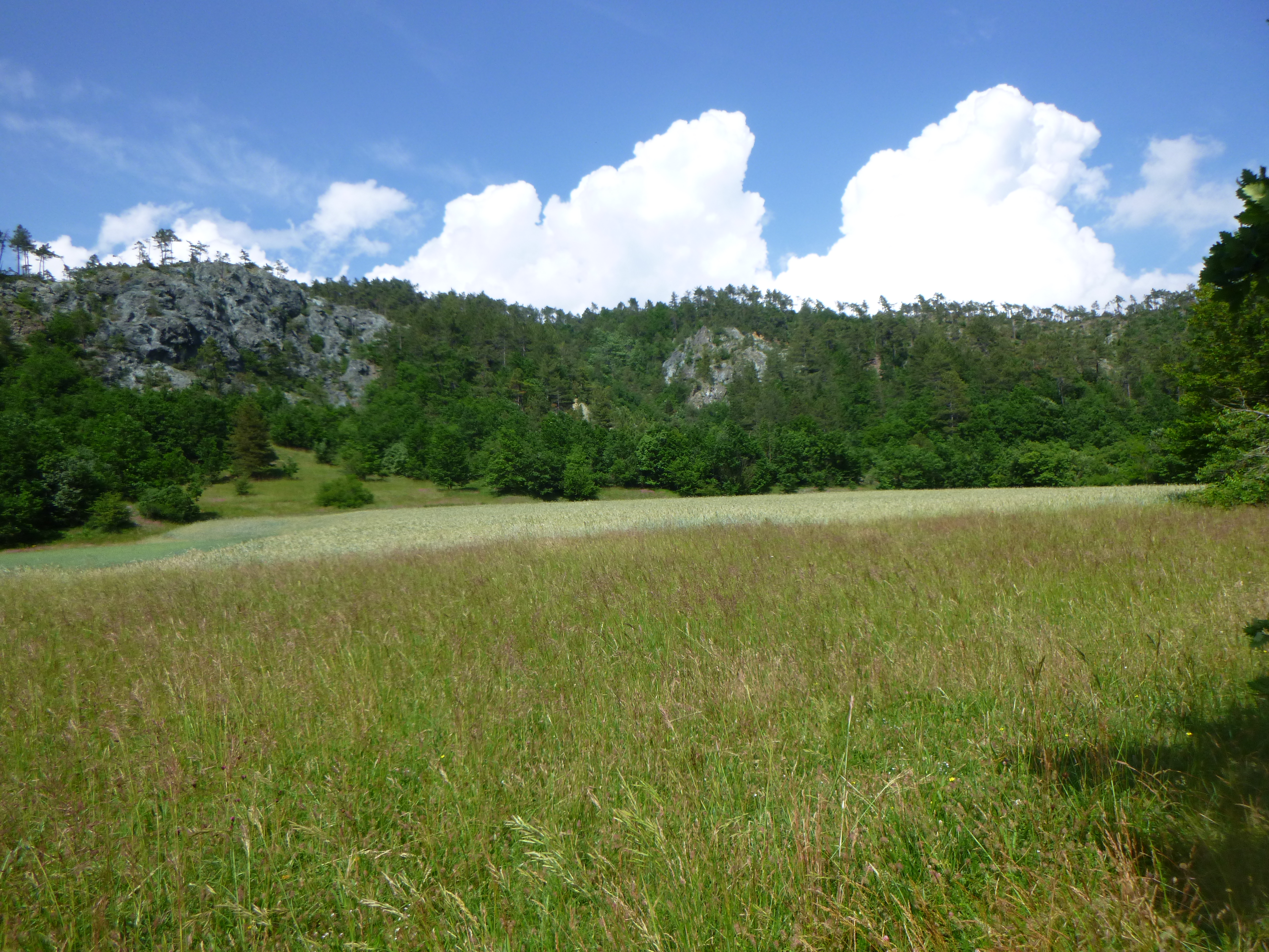 Title: Clouds; Year: 2023; Place: Valle Erro (Italy); Author & Copyright: Sebastiano Salvidio Image
