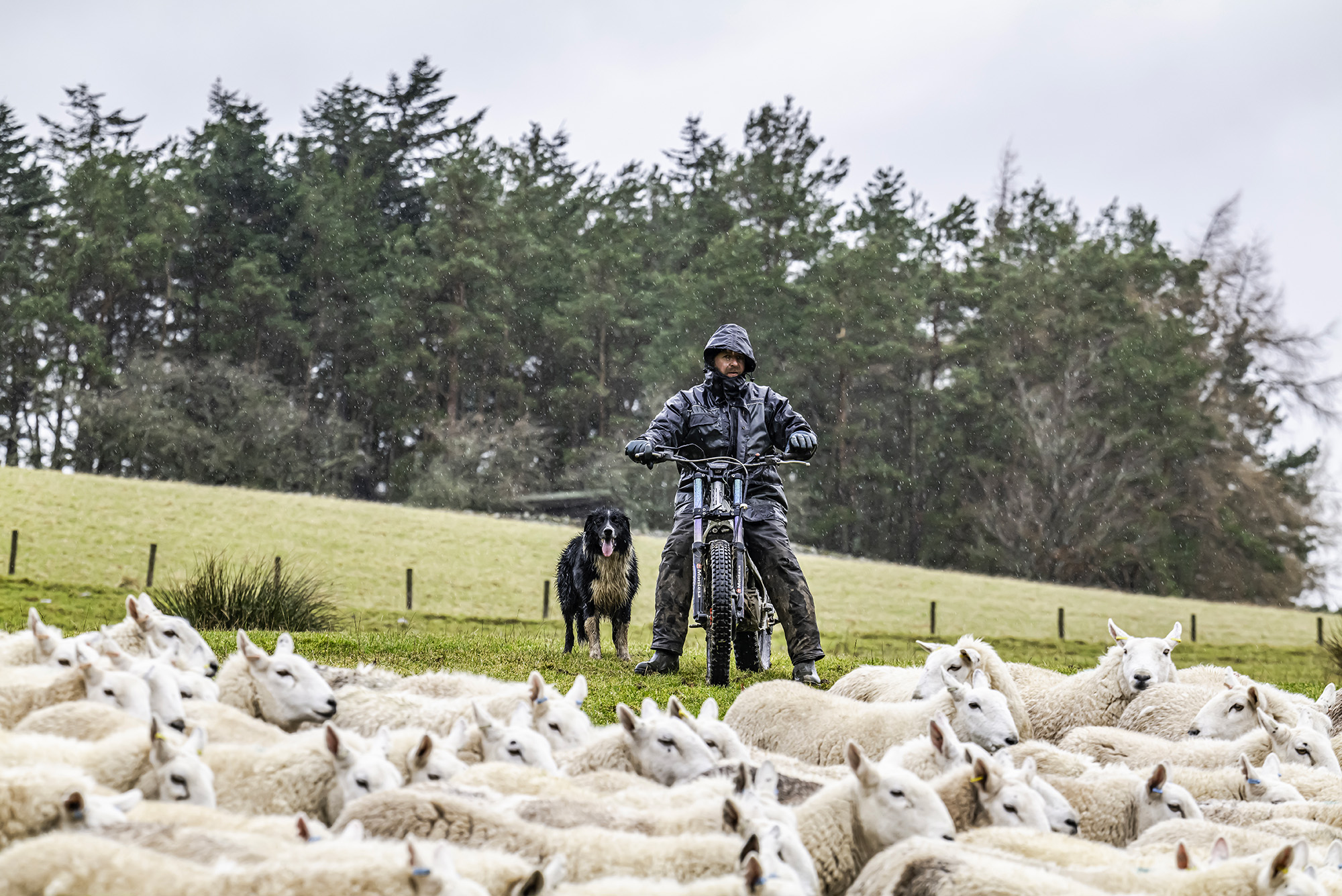 Title: Farmer with Border Collie sheep dog; Year: 2023; Place: Cheviot Hills, Scotland; Author & Copyright: Chris Strickland (www.photographerchrisstrickland.com). Image