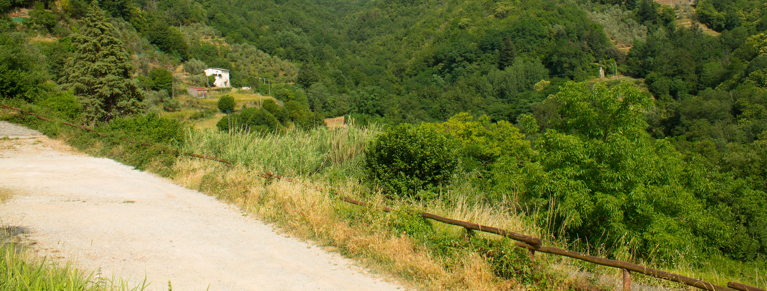 Title: Mountain routes; Year: 2023; Place: Castagnello (Borzonasca) (Italy); Author & Copyright: Caterina Piu Image