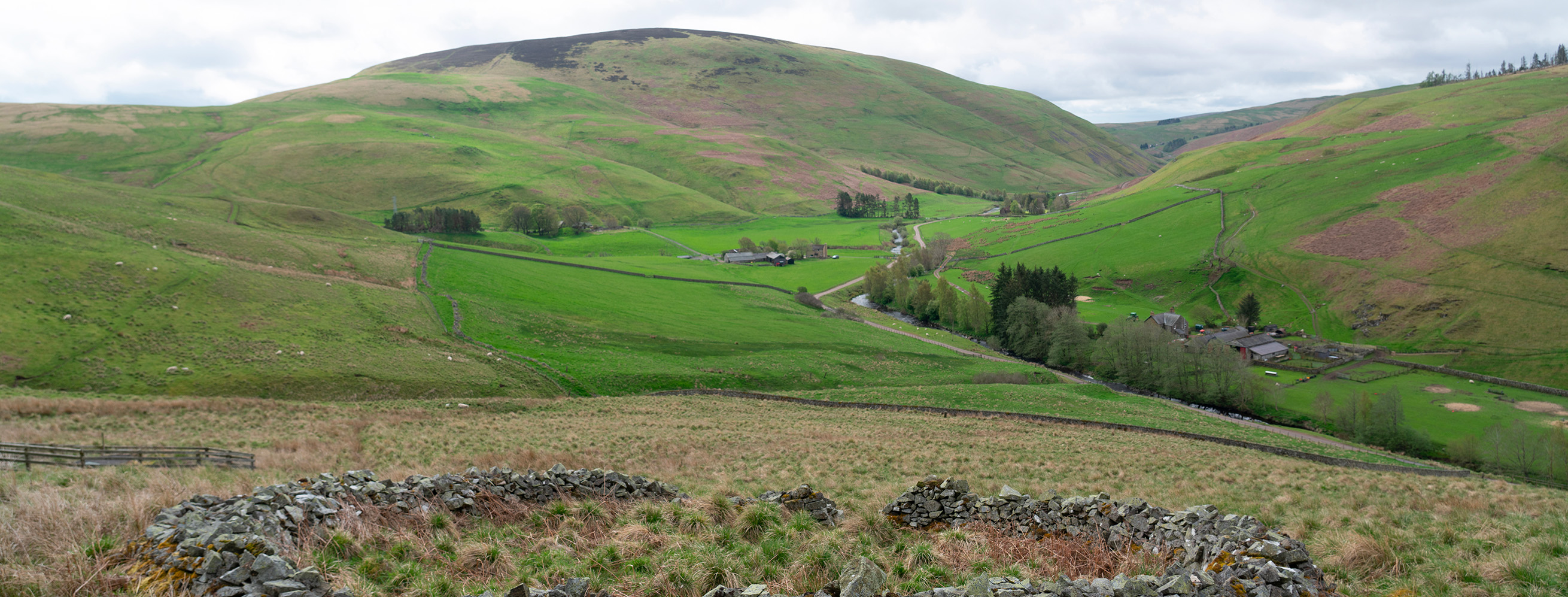 Title: Looking down Coquetdale, with an old ‘stell’ (sheep shelter) in the foreground; Year: 2023; Place: Cheviot Hills, England; Author: Chris Dalglish; Copyright: York Archaeological Trust. Image