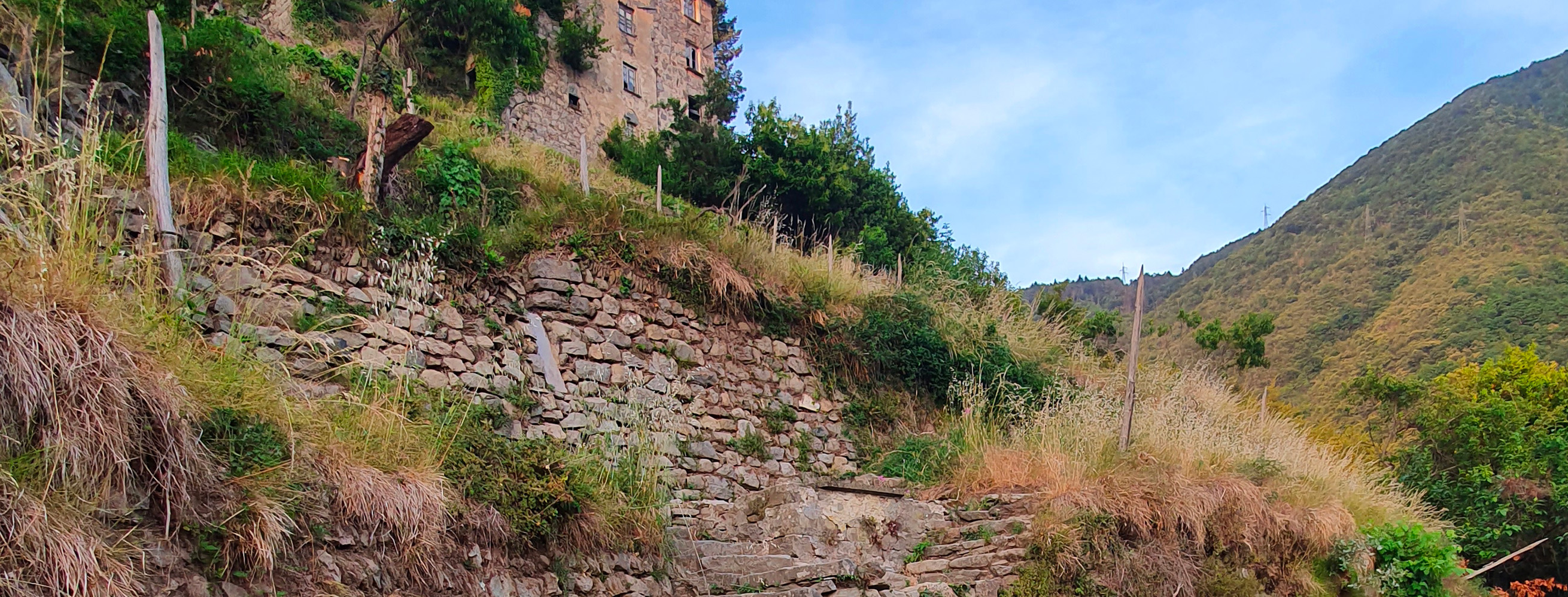 Title: Terraces and dry stone walls; Year: 2023; Place: Castagnello (Borzonasca) (Italy); Author & Copyright: Caterina Piu Image