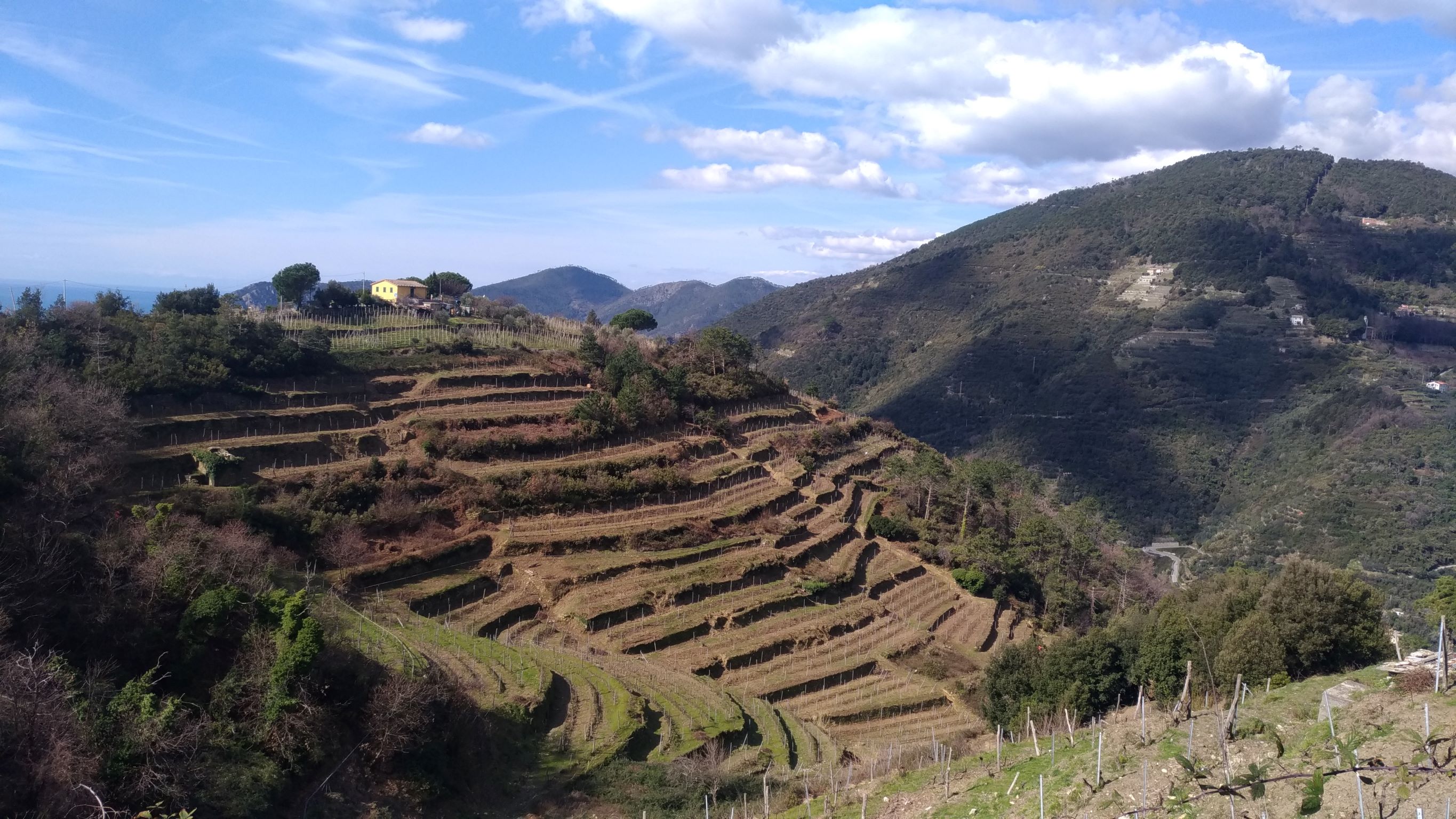 Fieldwork at La Polenza (Italy)